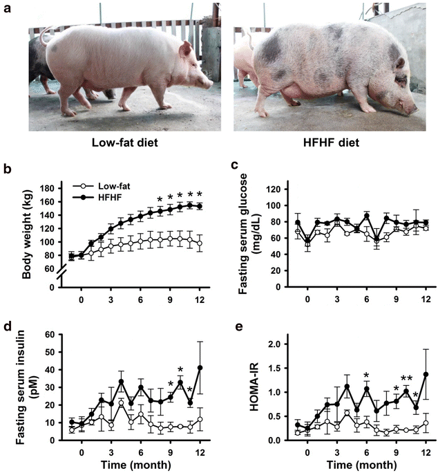 Fig. 1