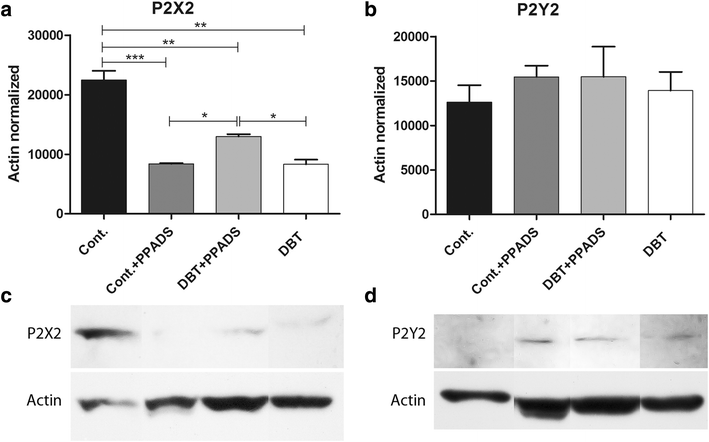 Fig. 6