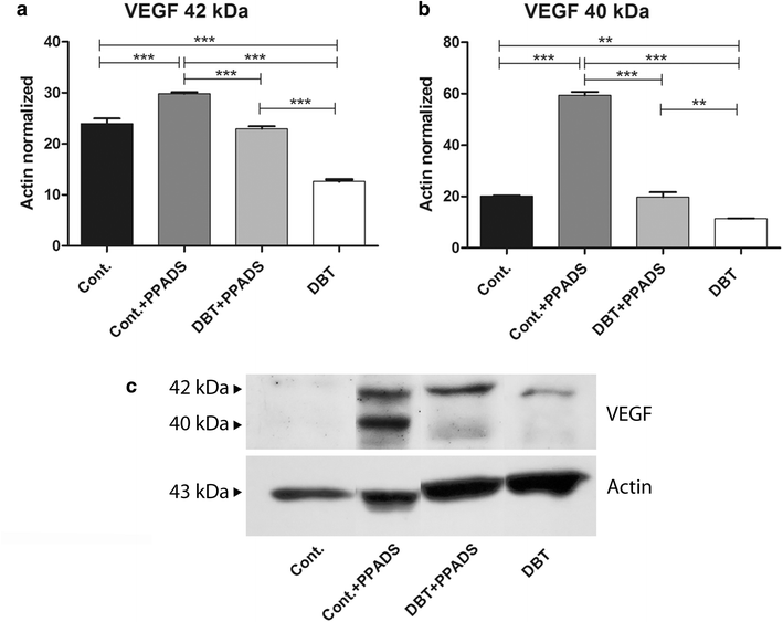 Fig. 7