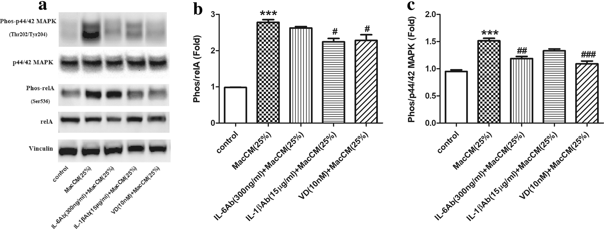 Fig. 6