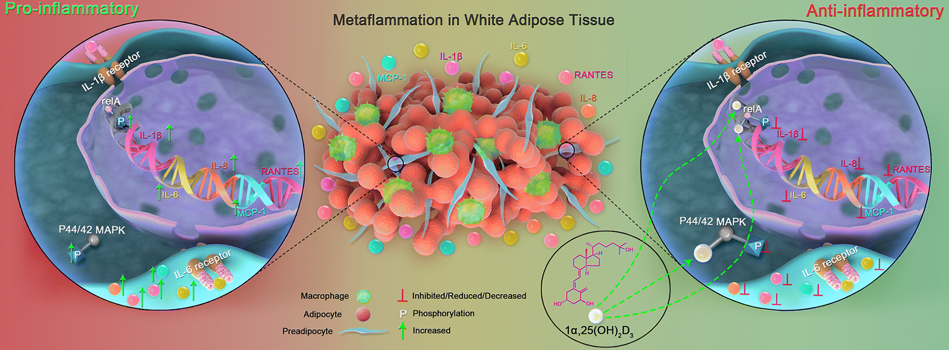 Fig. 7