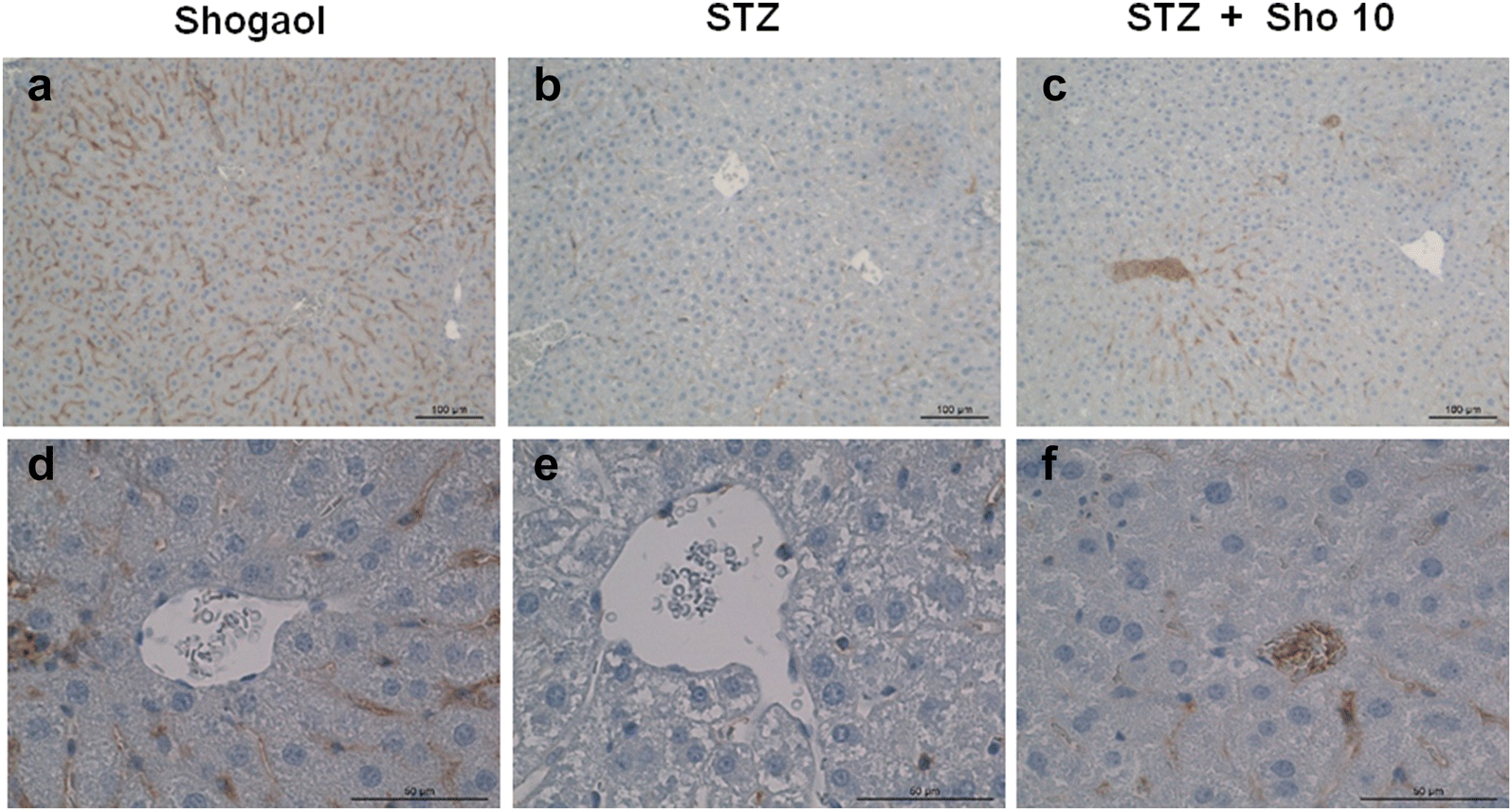 Fig. 10