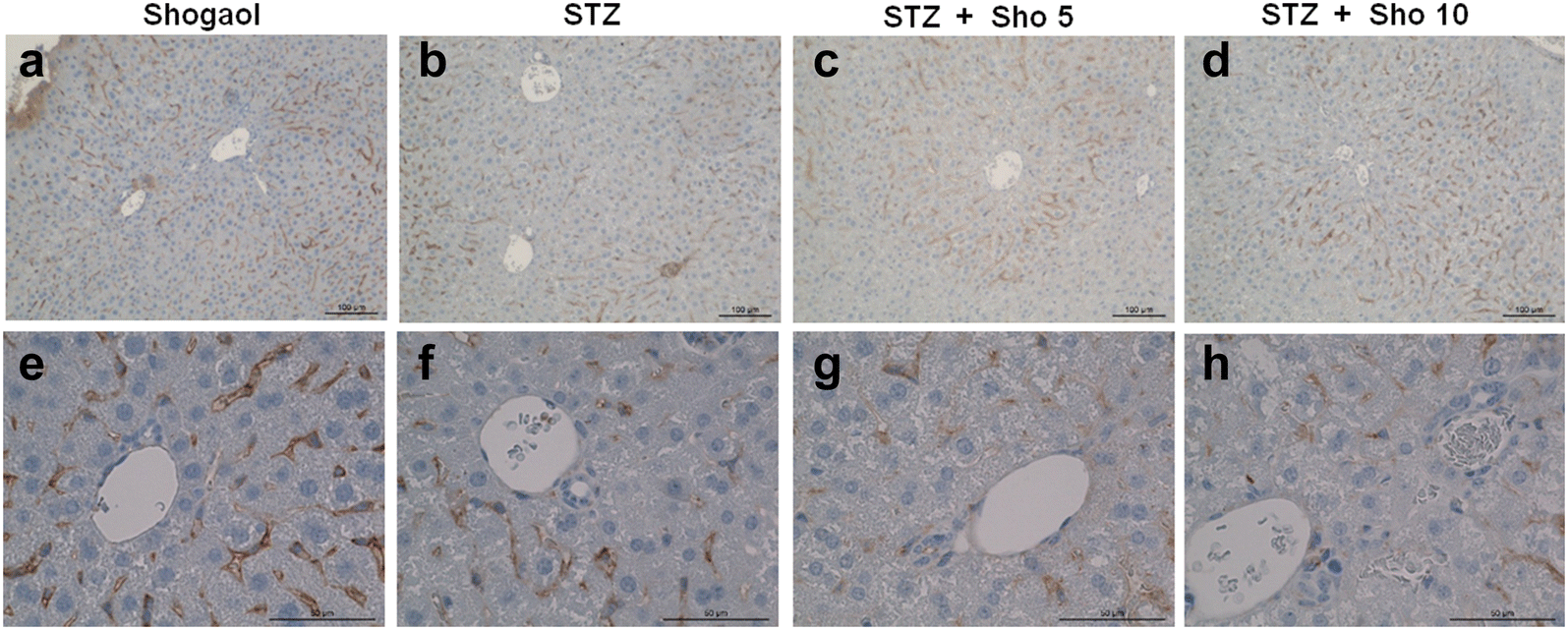 Fig. 11