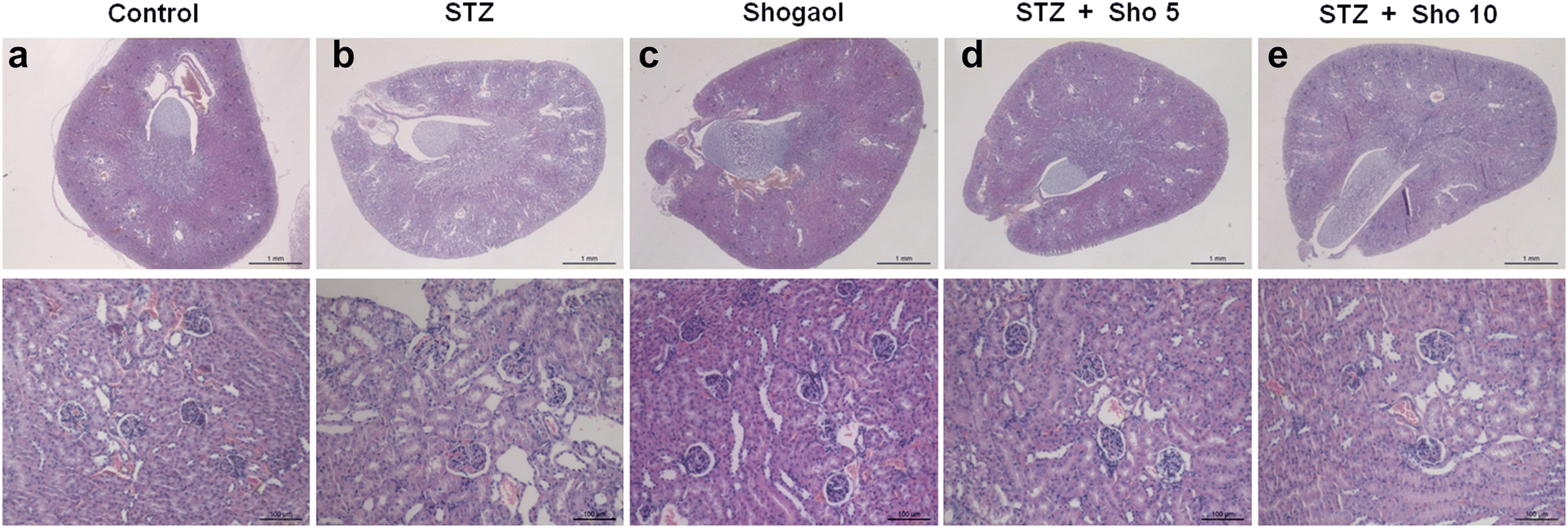 Fig. 5