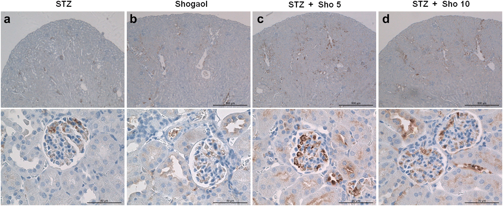 Fig. 7