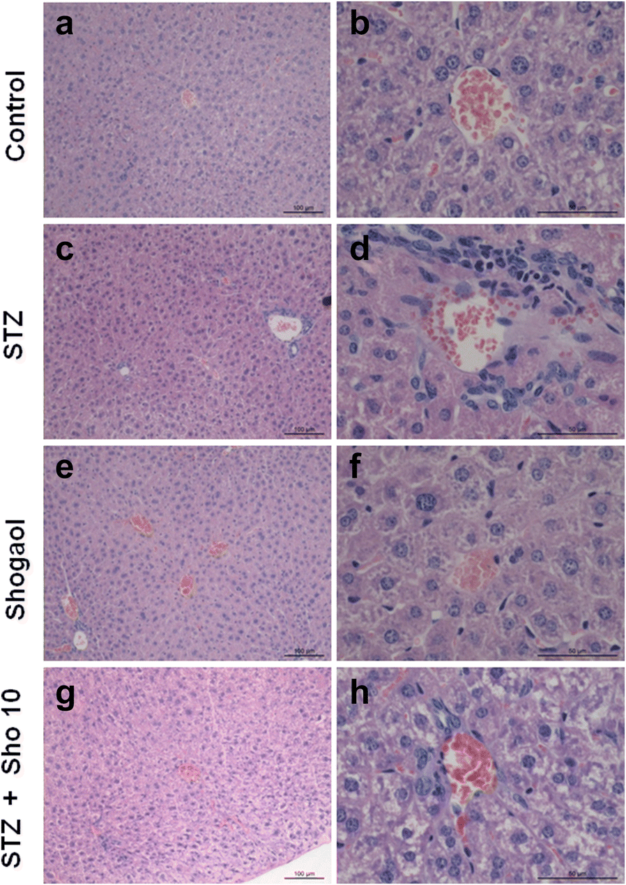 Fig. 9