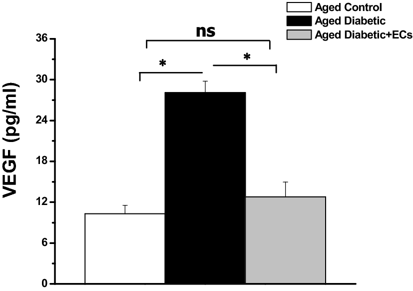 Fig. 7