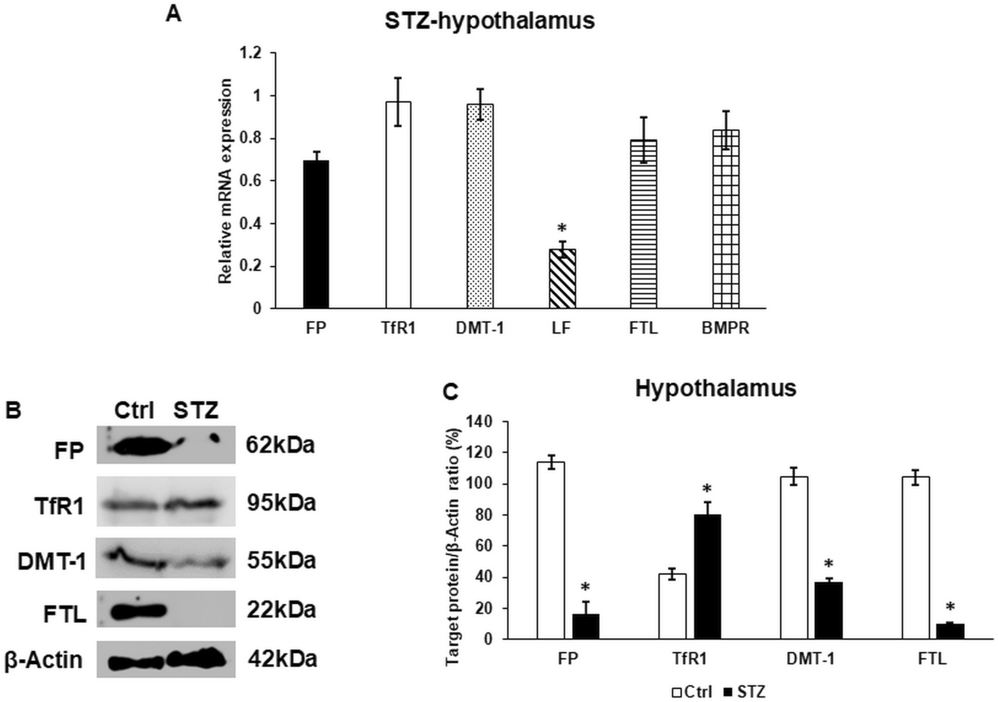 Fig. 3