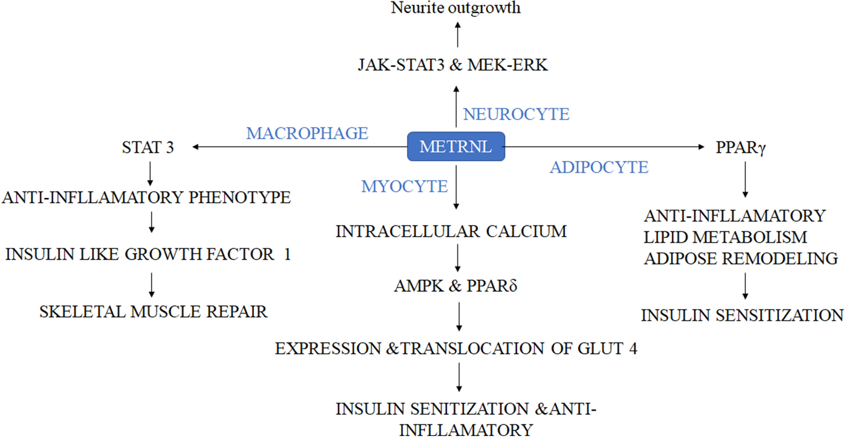 Fig. 14