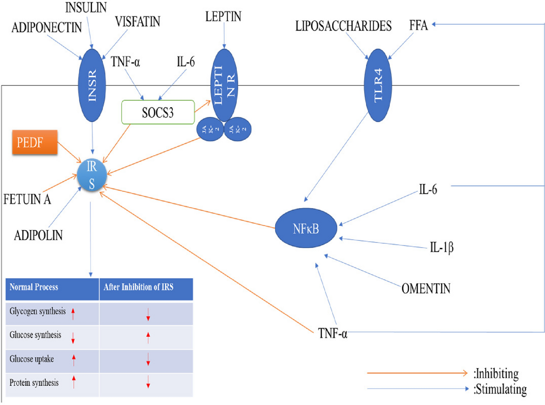 Fig. 15