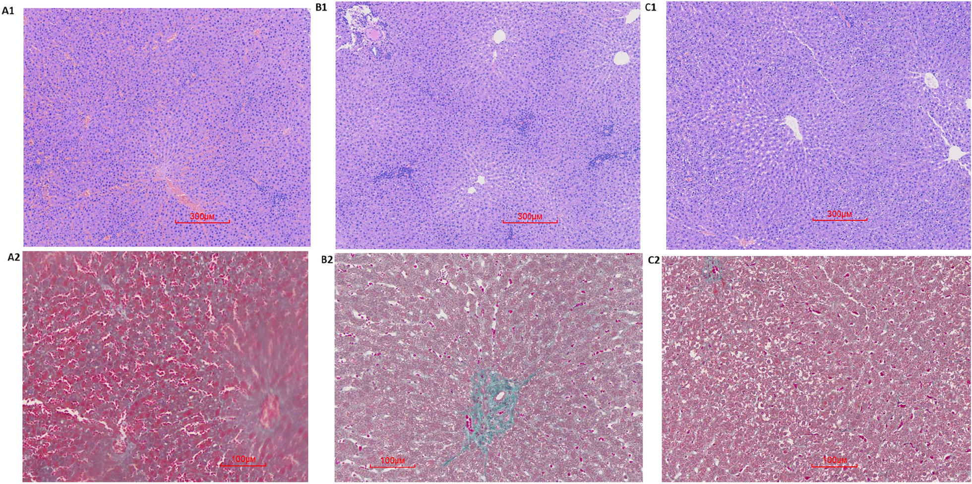 Fig.3