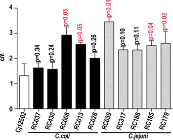 Figure 2