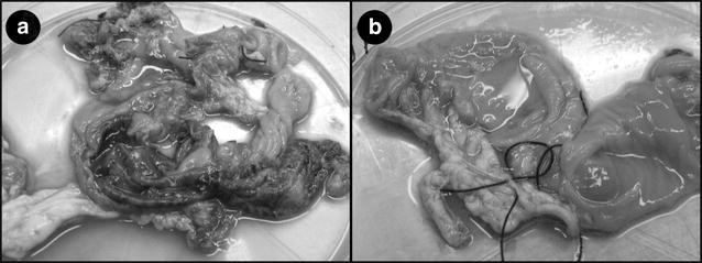 Fig. 3