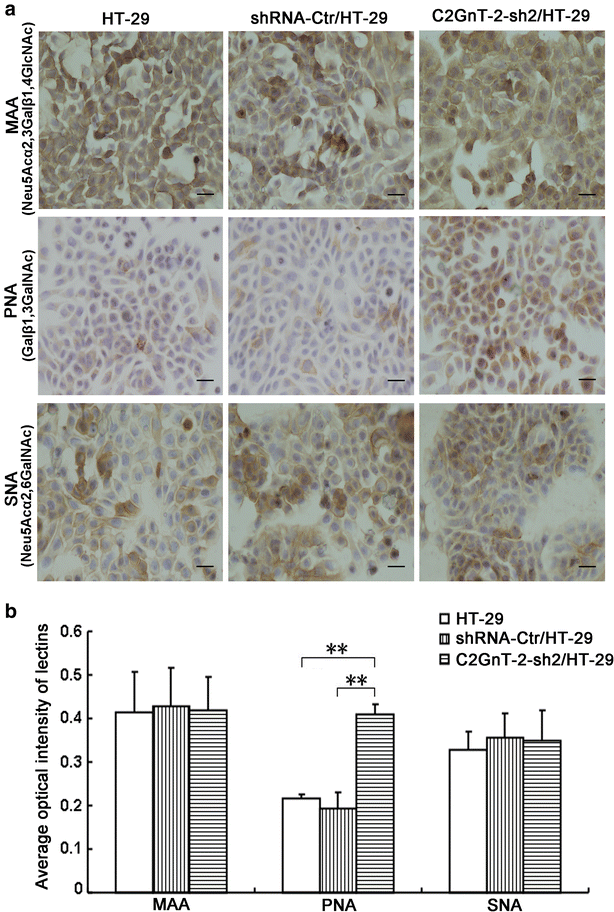 Fig. 5