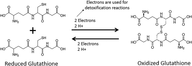 Fig. 1