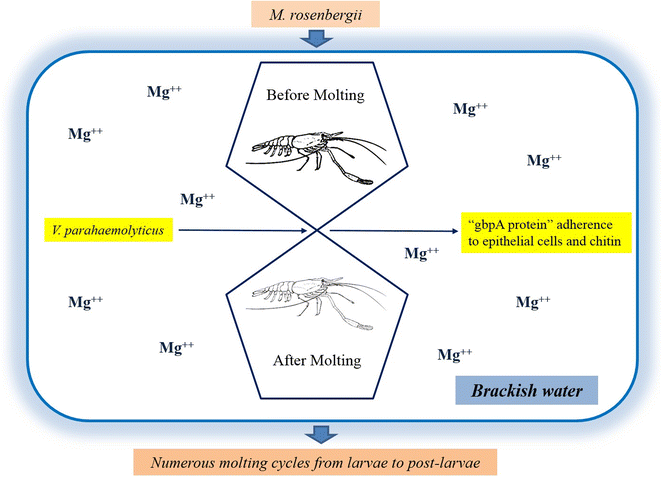 Fig. 2