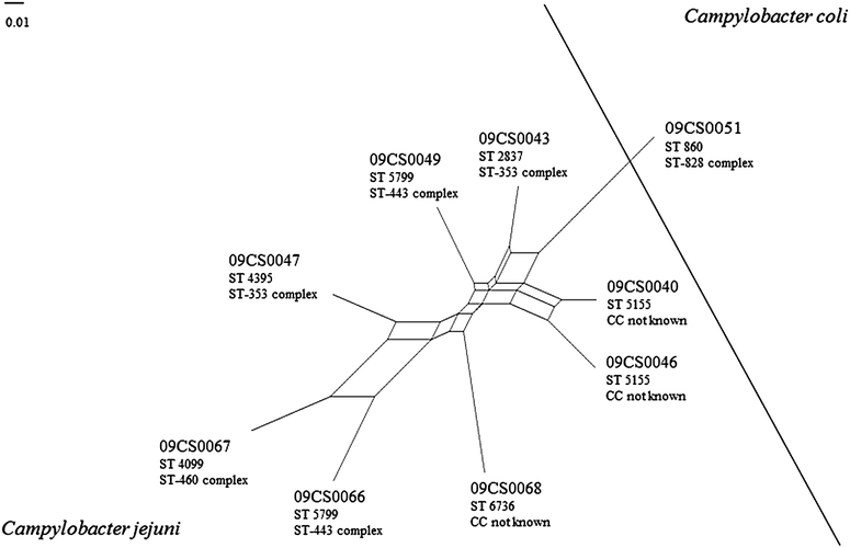 Fig. 2