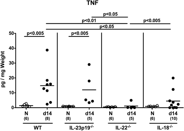 Fig. 7