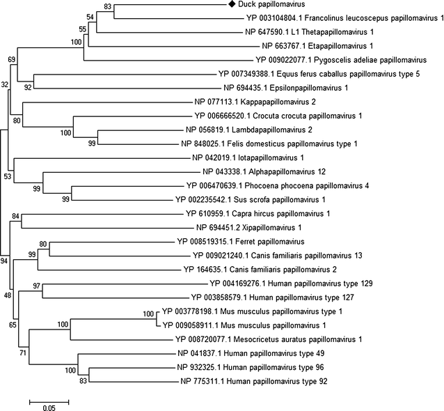 Fig. 3