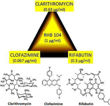 Fig. 1