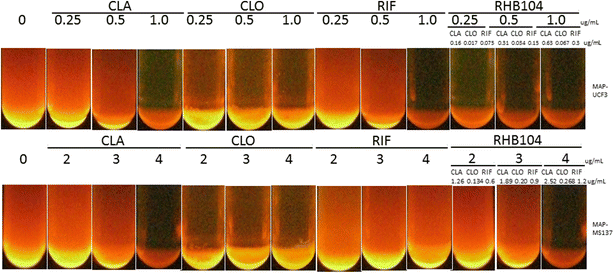 Fig. 3