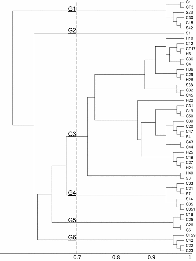 Fig. 1