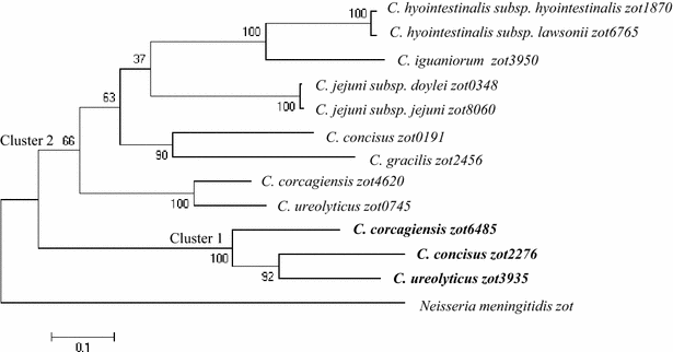 Fig. 2