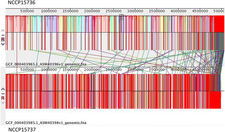 Fig. 2