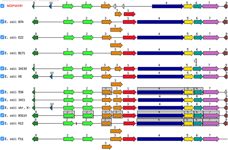 Fig. 4