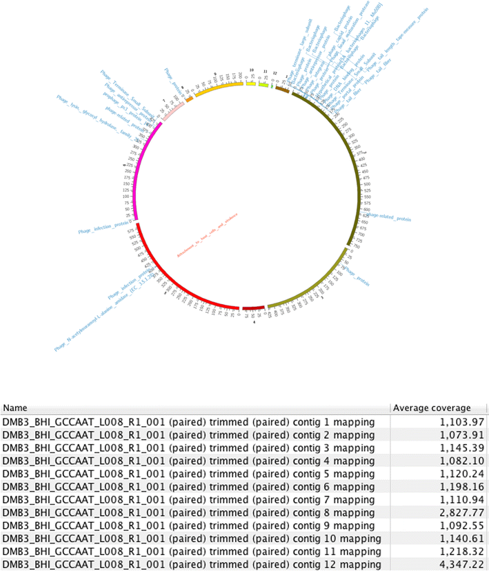 Fig. 3