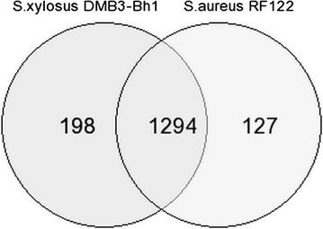 Fig. 6