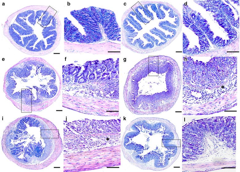 Fig. 3