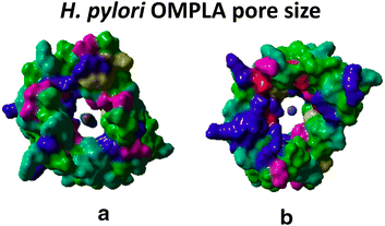 Fig. 5