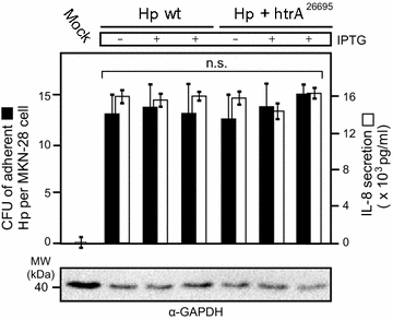 Fig. 4