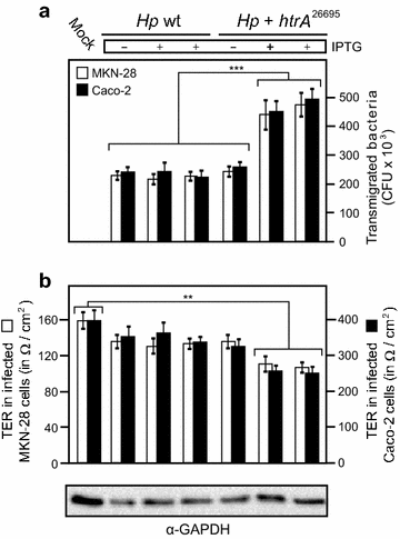 Fig. 6