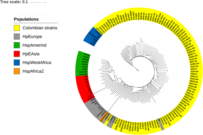 Fig. 2