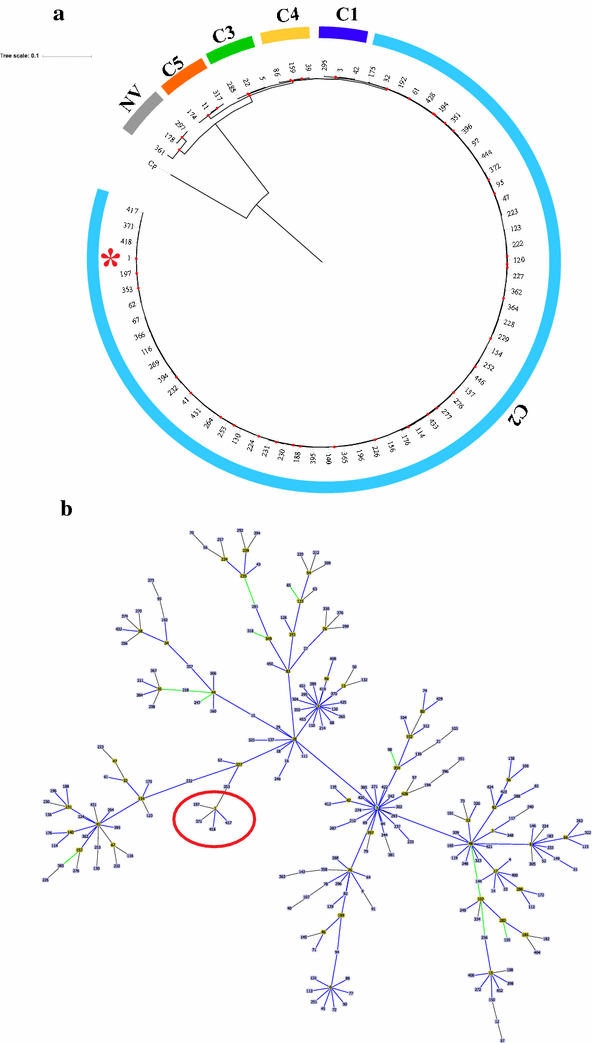 Fig. 1