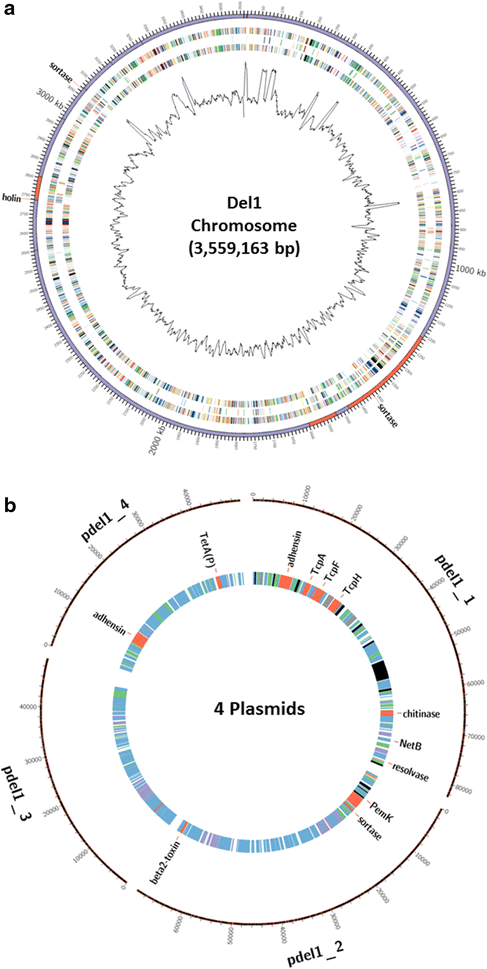 Fig. 1