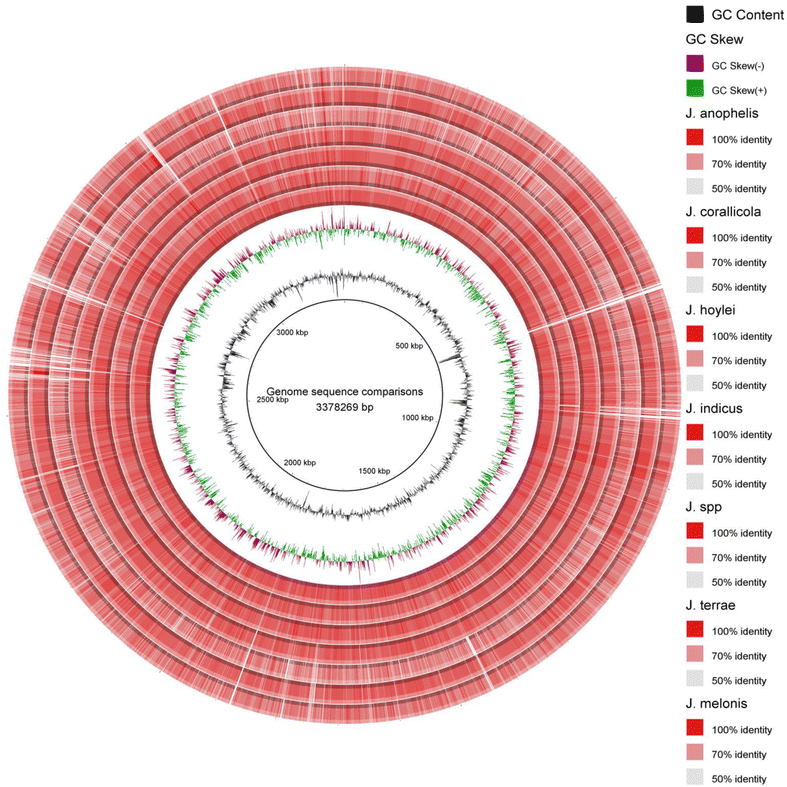 Fig. 2