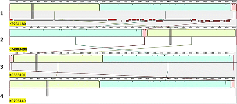 Fig. 2