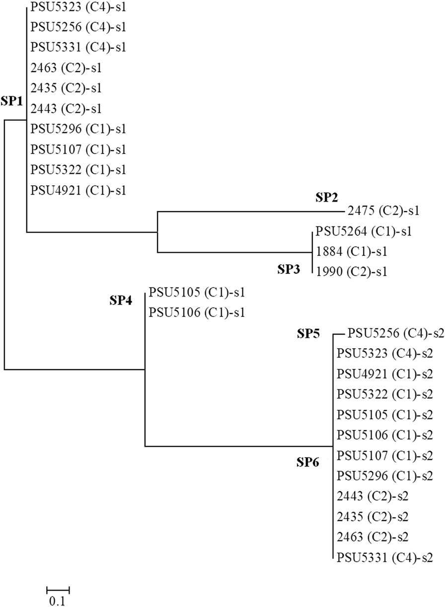 Fig. 5