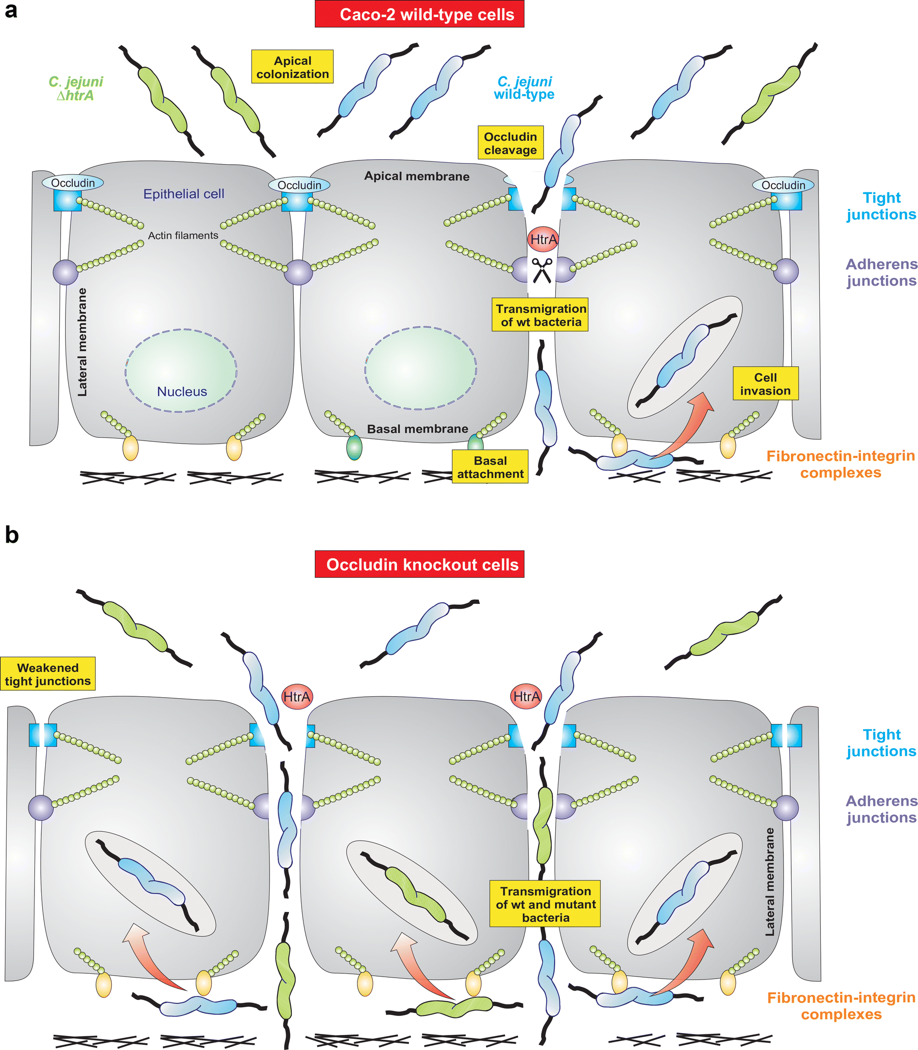 Fig. 8