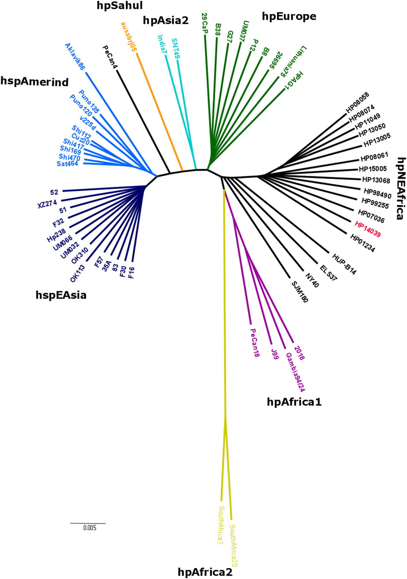 Fig. 2