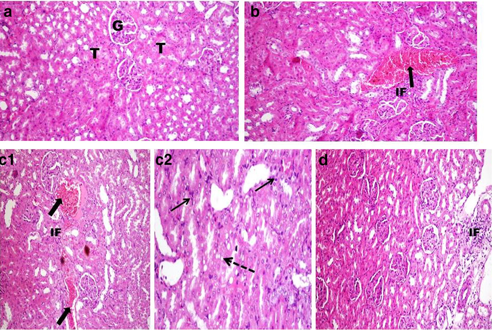 Fig. 4