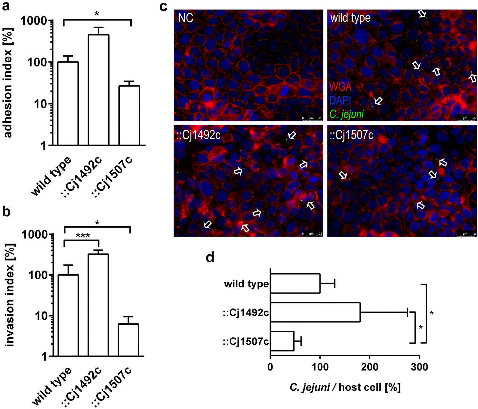 Fig. 2