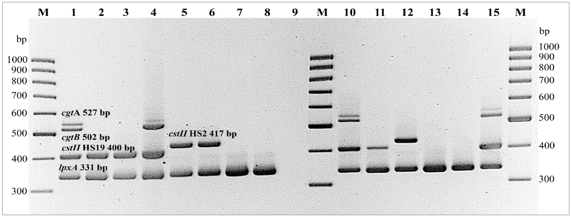 Fig. 4