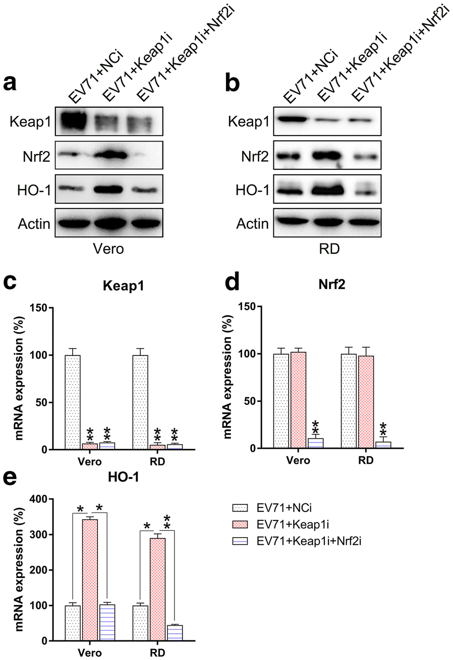 Fig. 5