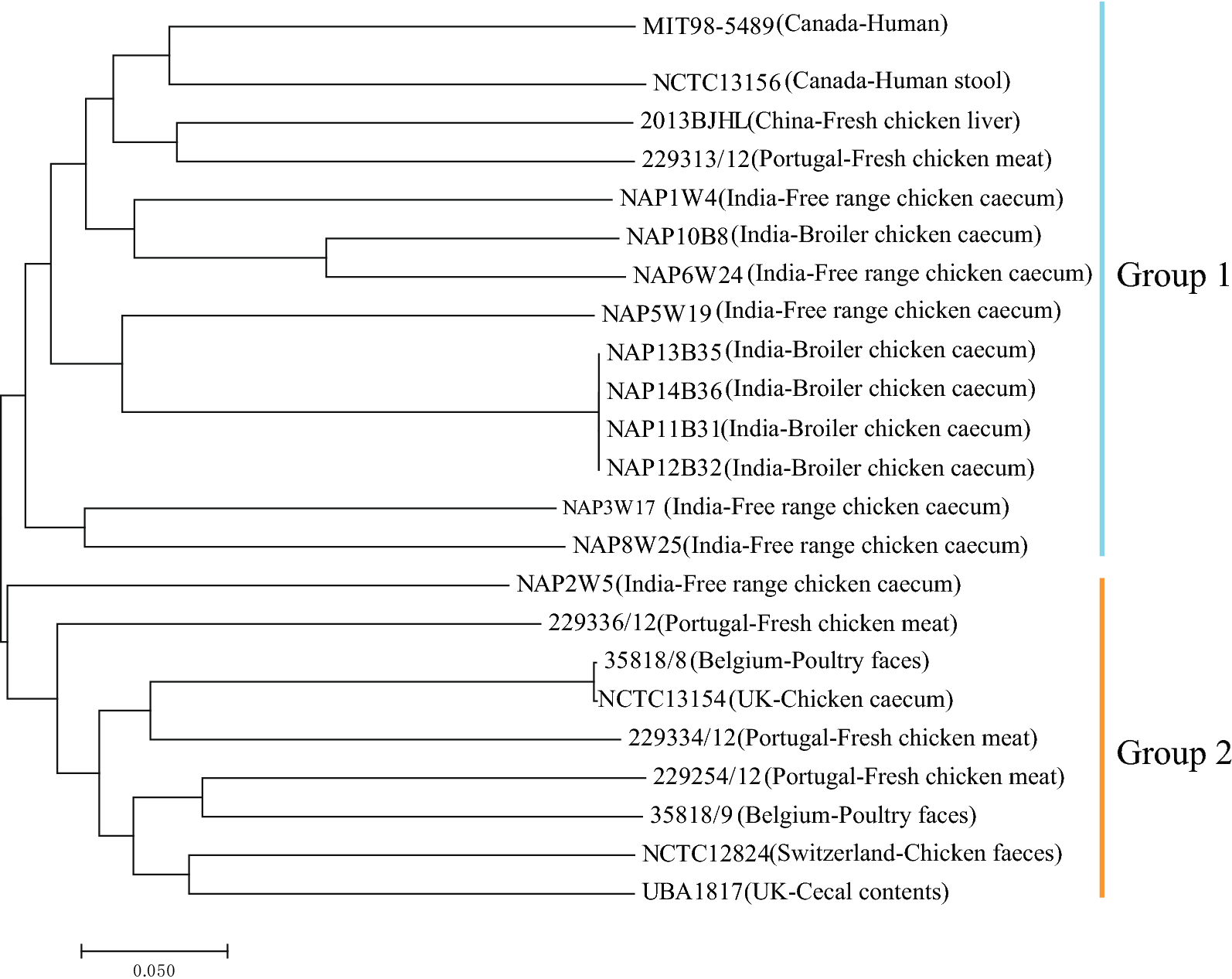 Fig. 3