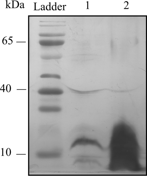 Fig. 9