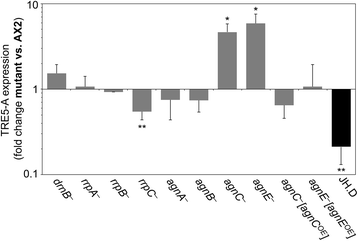 Fig. 4